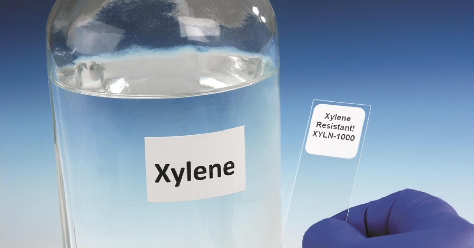 Hóa chất Xylene và những gì chúng ta cần biết