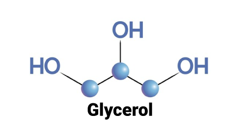 Những điều cần biết về hóa chất Glycerine 